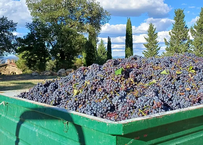 Agriturismo La Bulletta