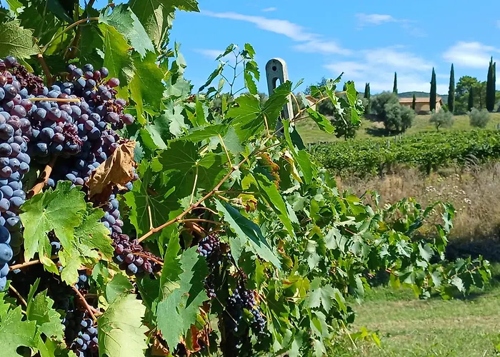 Agriturismo La Bulletta
