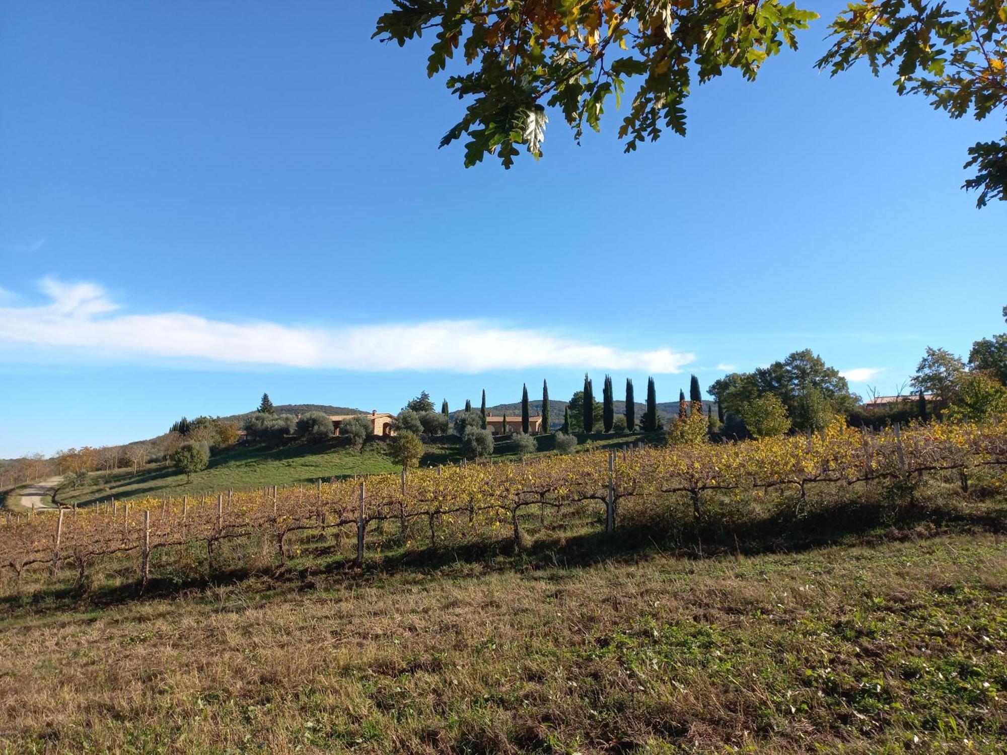 Holiday home La Bulletta